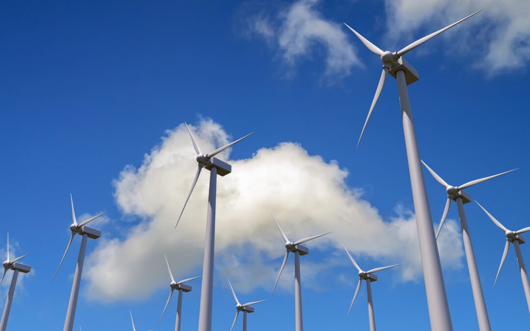 Vernünftiger Klimaschutz für Mensch und Natur